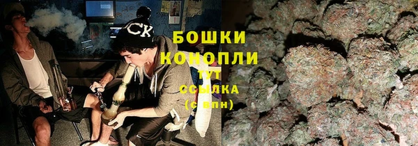 Альфа ПВП Аркадак