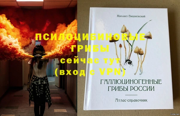Альфа ПВП Аркадак