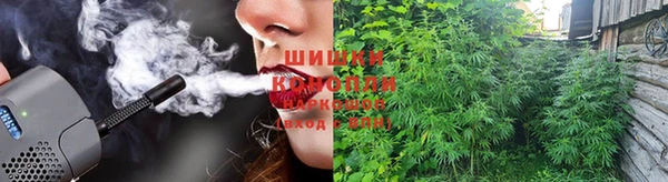 Альфа ПВП Аркадак