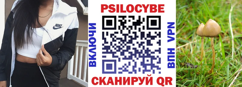 Галлюциногенные грибы Psilocybine cubensis  Купить где  Медногорск 
